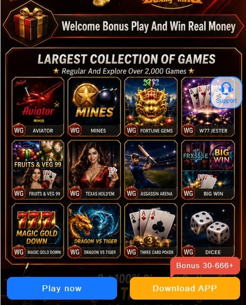 999sx game apk