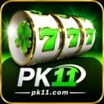 pk11 Logo