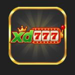 xd777 game