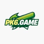 pk6 game